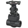 API 602 Socket Weld Fnpt Globe Valve